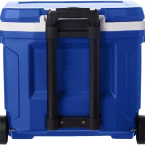 Coleman FlipLid Personal Cooler -5 Quarts (Copy)