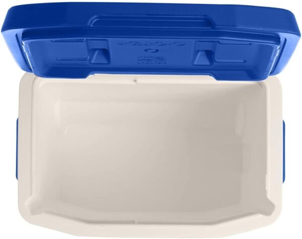 Coleman FlipLid Personal Cooler -5 Quarts (Copy)